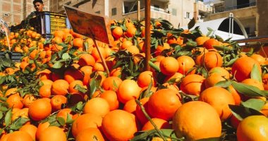 البرتقالي يتطلع لموسم ناجح